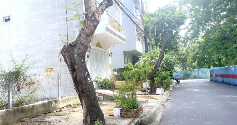 vi tri dat nen mat duong so 4 810x430 - Giá mua bán đất nền lô E mặt Đường số 4 Khu dân cư Phú Mỹ Chợ Lớn Quận 7 T9/2024