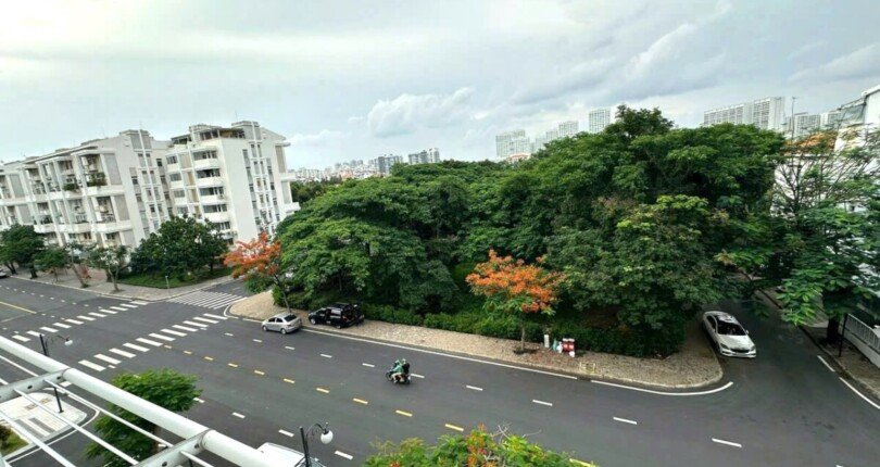 view nhin tu can ho ban 810x430 - Giá mua bán căn hộ 3pn Chung cư Garden Plaza 2 Tôn Dật Tiên Quận 7 T9/2024