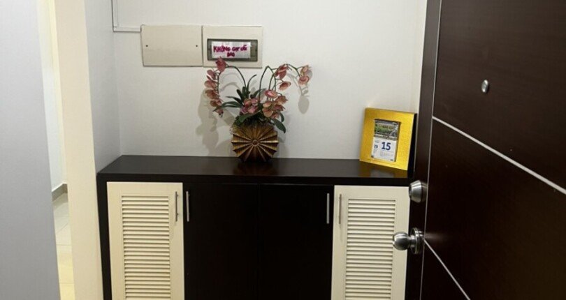 z5839863634149 bfbc3e7f5a738053775244702447c22a 810x430 - Cho thuê CH 2PN, 1WC full nội thất tại Sky Garden 3, Phú Mỹ Hưng Q. 7.