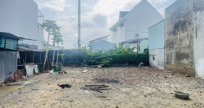 z5861624152112 83362557c31691330c39246ca1f71c77 810x430 - Cần bán lô đất nền 349m2, ,đường Đào Sư Tích, ấp 4 ,xã Phước Lộc , huyện Nhà Bè, gần Uỷ Ban xã .