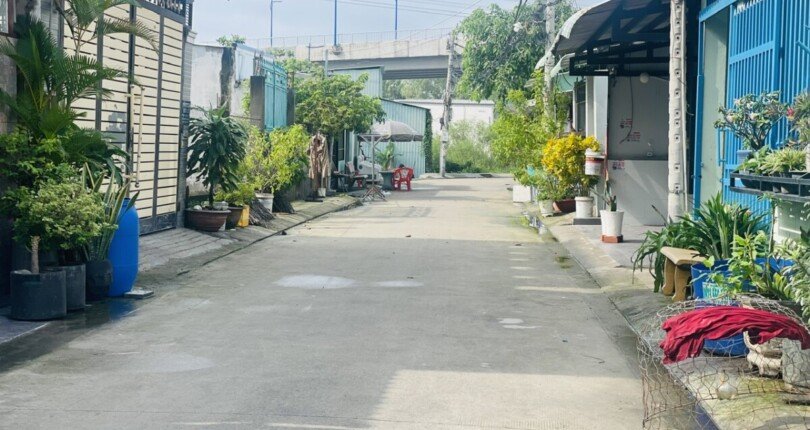 z5861624181979 0d6dc6ce203aed03ab9bdf5ed24af29a 810x430 - Cần bán lô đất nền 349m2, ,đường Đào Sư Tích, ấp 4 ,xã Phước Lộc , huyện Nhà Bè, gần Uỷ Ban xã .
