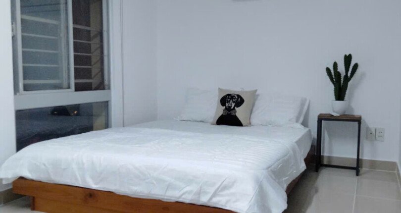 2345ilsvdngmji655435sdd 4 810x430 - Cho thuê Duplex chung cư Sky Garden 1, 4pn giá 1500usd/th