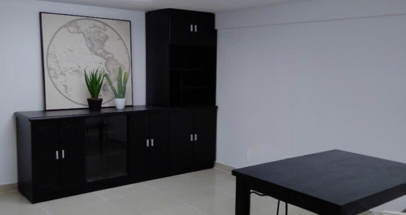 2345ilsvdngmji655435sdd 6 810x430 - Cho thuê Duplex chung cư Sky Garden 1, 4pn giá 1500usd/th