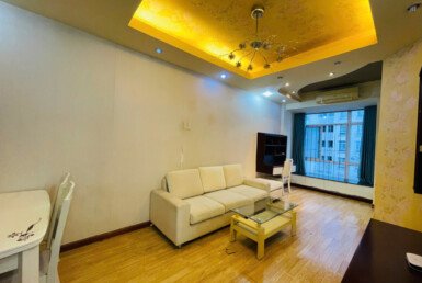 cho-thue-can-ho-sky-garden-3 (4)