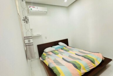 cho-thue-chung-cu-sky-garden-3-pmh-quan7 (2)