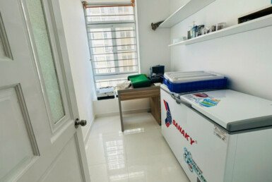 cho-thue-chung-cu-sky-garden-3-pmh-quan7 (4)