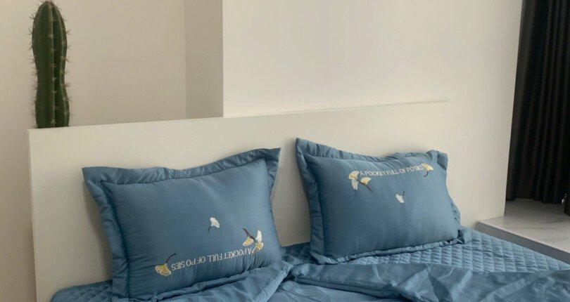 z5888174725572 b8e204c4fe4afc1736158cb79612b91c 810x430 - Cho thuê căn hộ Midtown Phu My Hung - Q7 - TP HCM. DT 80m 2phong giá 1100 usd/tháng