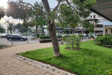 z5944815377458_e669d249b6105ebdede79648d8ce68d5