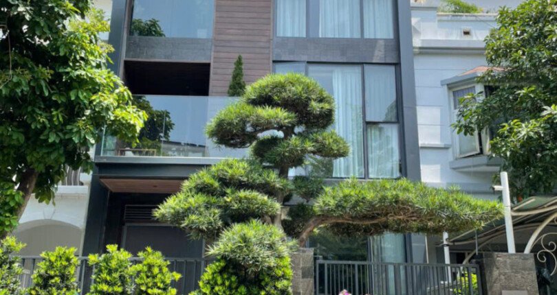 z5965767839196 8c498e0f1120b1a98d13e45efececae8 810x430 - Bán biệt thự khu Mỹ Thái 2 dt 7x14m 3 tầng nhà đẹp