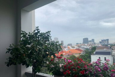 z5986784906271_0cd7ab3063f6acf13fa566a3fffb6c47