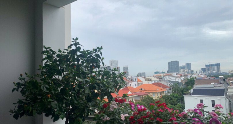 z5986784906271 0cd7ab3063f6acf13fa566a3fffb6c47 810x430 - Cho thuê chung cư Park View Phú Mỹ Hưng 100m 3pn full nội thất