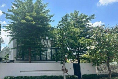 34y5tjgffbdsngmh,jilpo;oluykhr (3)