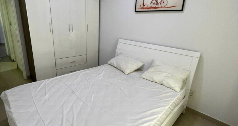 ban can ho sky garden 1 2 810x430 - Kẹt tiền bán gấp căn hộ Sky Garden 1. DT 71m2 Nhà cứng cáp- Đang cho thuê 12.5 triệu. Lầu trung Giá tốt 3.7 Tỷ