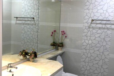 can-canh-toilet-phong-khach