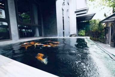 ho-ca-koi-tieu-canh-biet-thu-ban