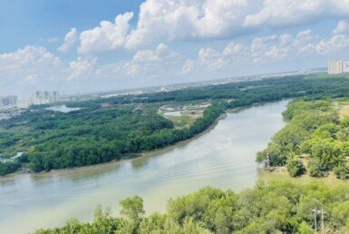 view-can-ho-truc-dien-song