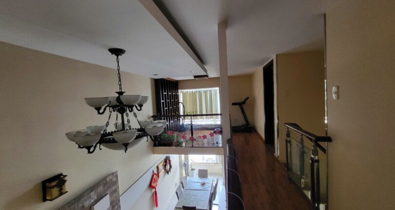 z5991423014073 54d458f1b1b6b26ccdbf5431a335a4a5 810x430 - Bán Duplex chung cư Sky Garden 2 Phú Mỹ Hưng 89m giá 6 tỷ