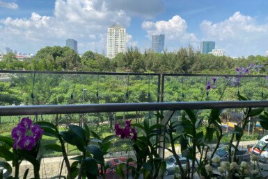 z6031282491100_744b19078b17128d3d9d9499acdf39ae