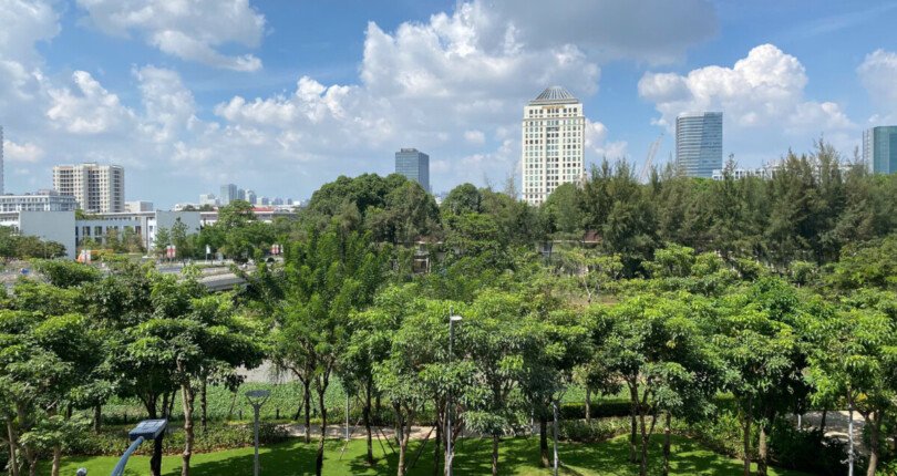 z6031282512016 31e986372639e3393e7ade237b21ddde 810x430 - Bán căn hộ Midtown M5 tầng 2 dt 102m 2pn bán giá 8,7 tỷ