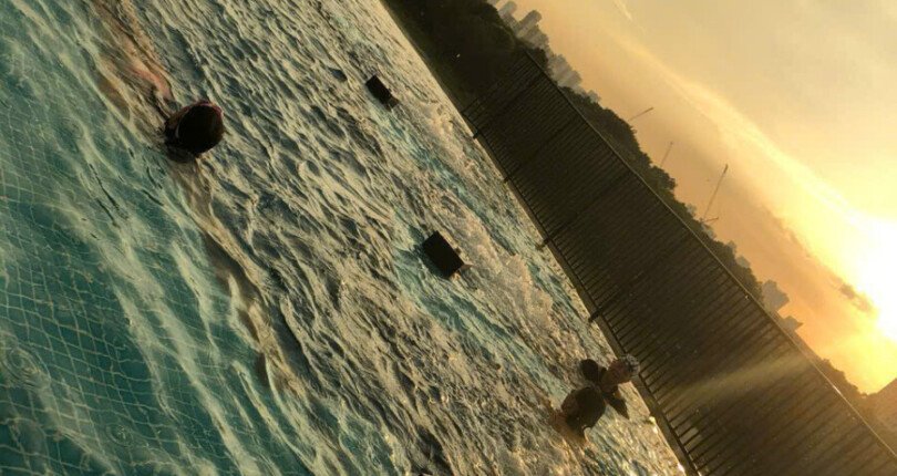 z6054672416745 d69fa444060c11555de85590973d5d53 810x430 - Cho Thuê Midtown M7 Tầng 10 dt 81m 2 phòng full nội thất giá 28 triệu/th