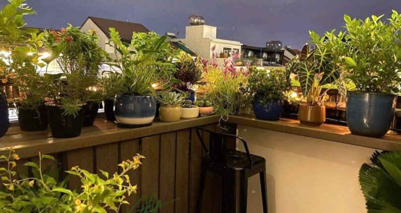 ban cong can ho ban 1 810x430 - Giá mua bán căn hộ 3pn block A chung cư Mỹ Phúc Phú Mỹ Hưng Quận 7 T12/2024