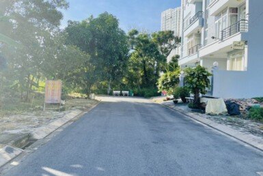 hien-trang-duong-lo-gioi-20m-trang-nhua