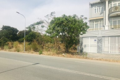 hinh anh mua ban dat en kdkc tai dinh cu 50ha cat lai quan 2 t12 2024 385x258 - Giá mua bán đất nền mặt đường số 46 kdc Tái định cư 50ha Cát Lái Quận 2 T12/2024