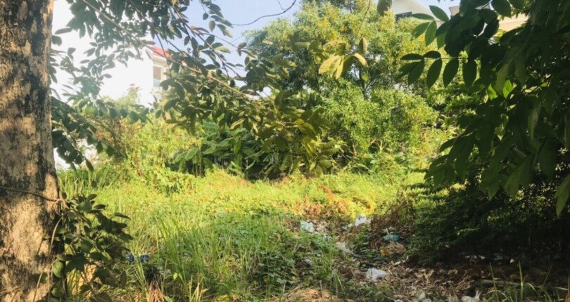 hinh anh mua ban dat nen biet thu kdc tran thai nha be 810x430 - Giá mua bán đất nền Biệt thự kdc Trần Thái Nhà Bè T12/2024