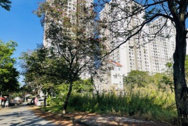 hinh-anh-mua-ban-dat-nen-kdc-tan-an-huy-nha-be-t12-2024