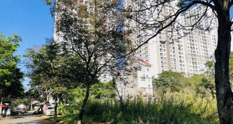 hinh anh mua ban dat nen kdc tan an huy nha be t12 2024 810x430 - Giá mua bán đất nền nhà phố dãy C kdc Tân An Huy Nhà Bè T12/2024