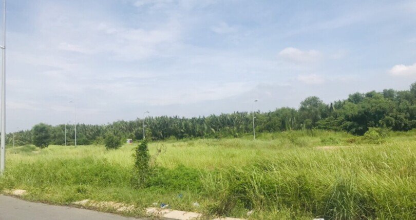 hinh anh mua ban dat nen khu dan cu thai son nha be t12 2024 810x430 - Giá mua bán đất nền lô E21 Khu dân cư Thái Sơn Nhà Bè T12/2024