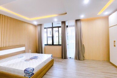 nha-biet-thu-cho-thue-co-4pn-rong-rai-nhu-hinh