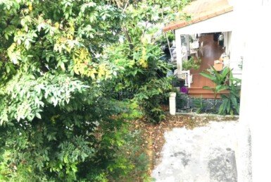 san-vuon-lien-ke-biet-thu-ban