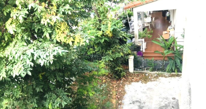 san vuon lien ke biet thu ban 810x430 - Giá mua bán nhà Biệt thự nguyên căn kdc Phú Gia Phú Mỹ Hưng Quận 7 T12/2024