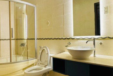 toilet-sang-trong-hoan-thien-moi