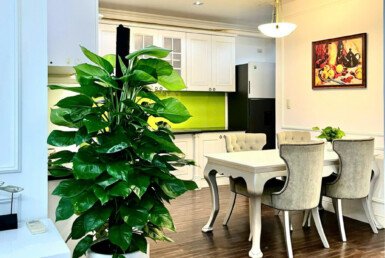 z6115234999914_508fbb7dd9598962f3c28dc4209098a7