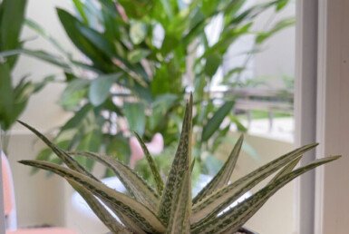 z6134669177436_0e51b0de436d9ff580671d3c2e97b2fd