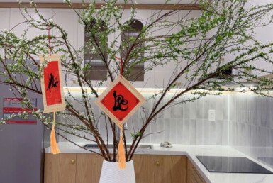 z6134669207531_5dd8f1f4c1719a6a2858287ed0ddc69f