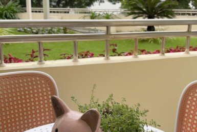 z6134669305709_45faf2c4ce44b4f814cf9bffb4e25416