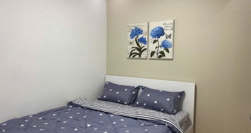 ban can ho sky garden 3 4 1 810x430 - Cần bán trước Tết căn hộ Sky garden 3. DT 70m2- View Nam- 3 Phòng-2wc Đủ nội thất Giá chỉ 4.150 Tỷ