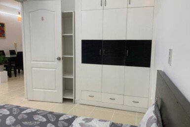 cho-thue-can-ho-sky-garden-2 (7)