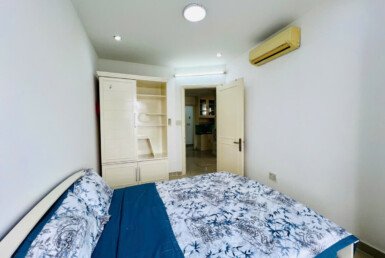 cho-thue-can-ho-sky-garden-3 (9)