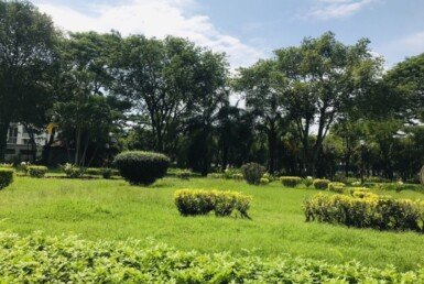 hinh-anh-cong-vien-lien-ke-nha-cho-thue