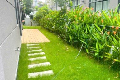 san-vuon-ben-hong-biet-thu-cho-thue