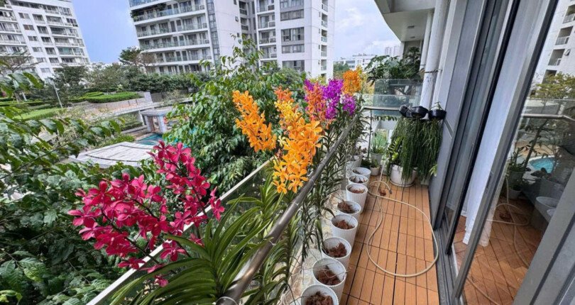 ban cong phong khach can ho 810x430 - Giá mua bán căn hộ 3pn Block C căn 01 chung cư Riverpark Premier Quận 7 T3/2025