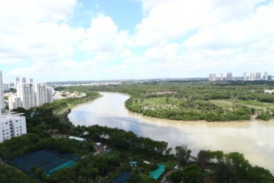 can-ho-cho-thue-lien-ke-song