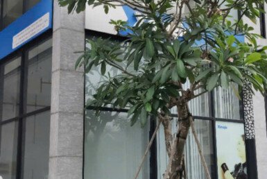 cho-thue-shop-midtown (2)