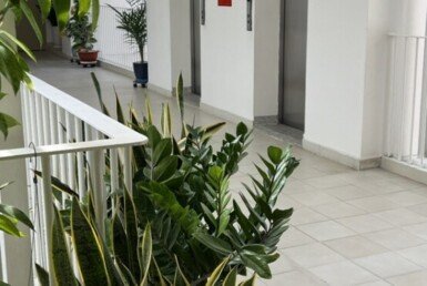 hanh-lang-loi-di-chung-truoc-can-ho-ban