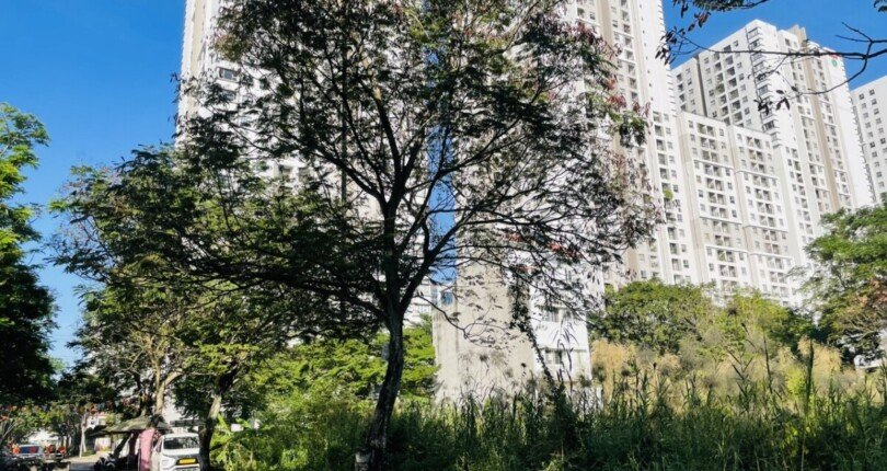 hinh anh mua ban dat nen kdc tan an huy nha be t2 2025 810x430 - Giá mua bán đất nền Biệt thự dãy B đường 20m Khu dân cư Tân An Huy Nhà Bè T2/2025