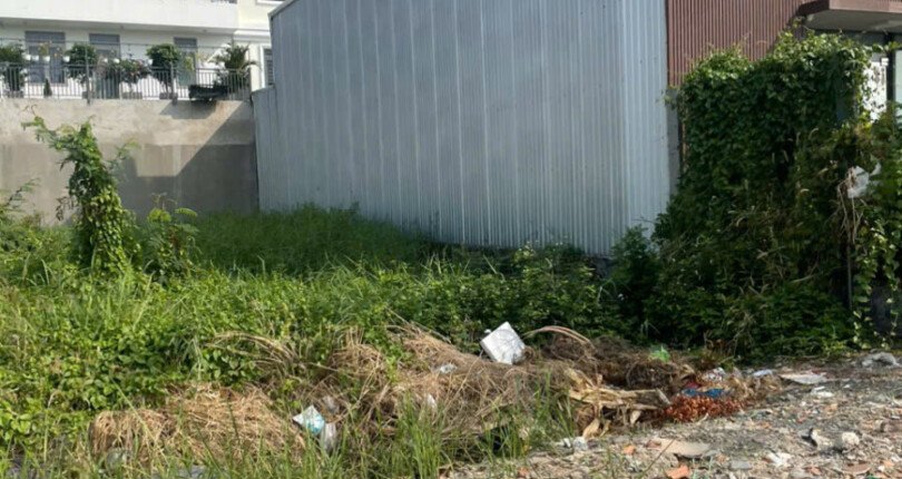 hinh anh mua ban dat nen kdc thai son nha be t2 2025 810x430 - Giá mua bán đất nền Biệt thự Khu dân cư Thái Sơn Nhà Bè T2/2025